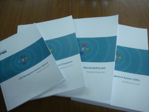 新田公司的HSE文件翻译项目