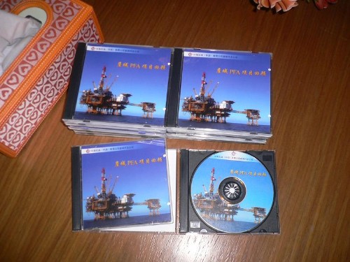 《崖城PFA项目回顾》