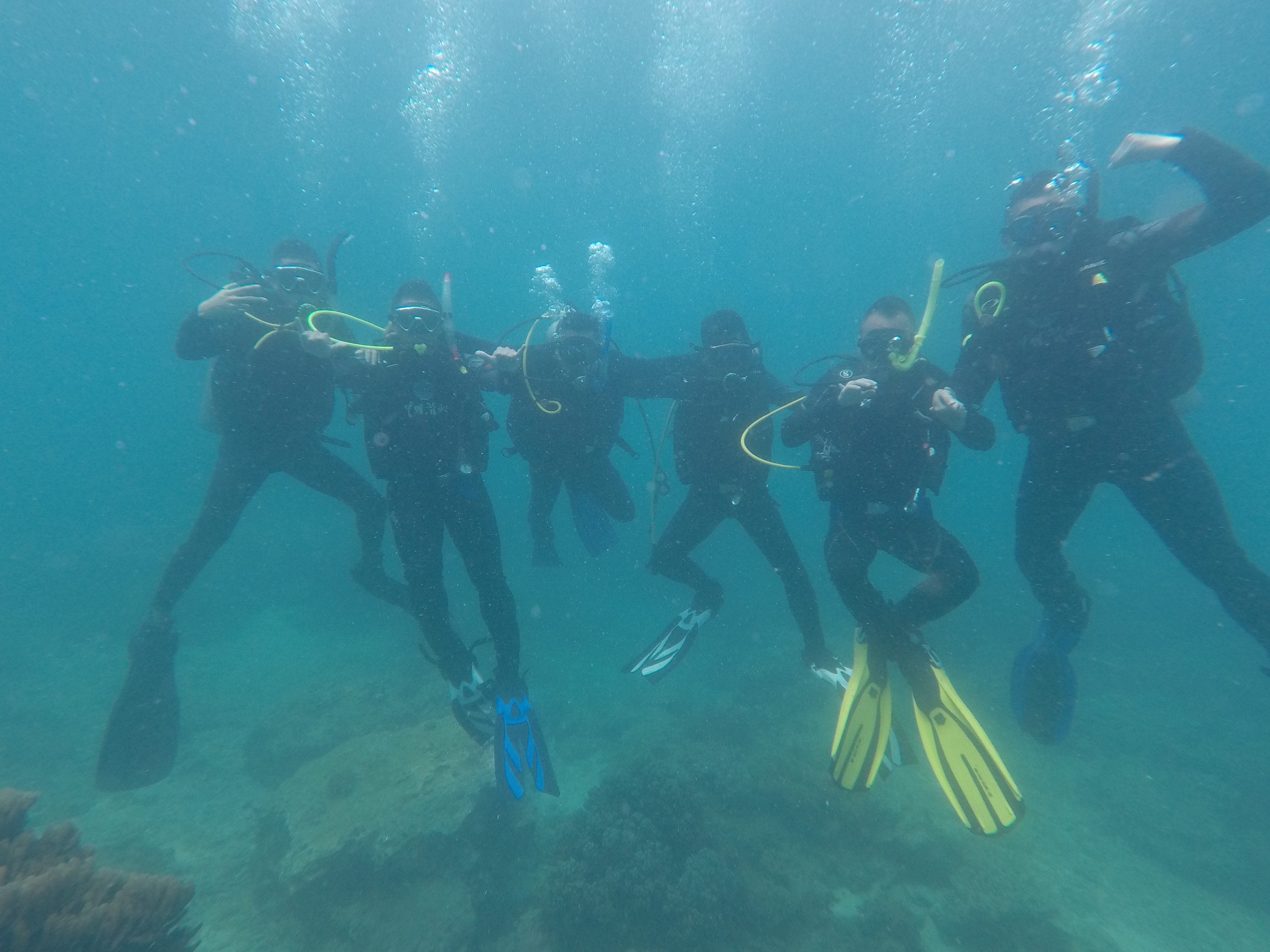 51902f69ae1dbcb58a0346d607a2e6f(1)